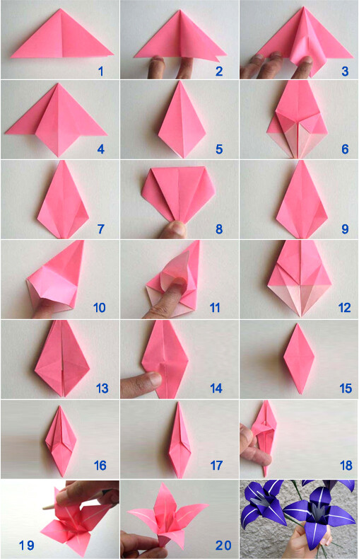 折纸百合花教案格式图解书法中的折纸花卉教案