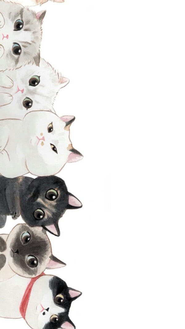 锁屏壁纸#左右萌猫来一发^o^我是左边谩