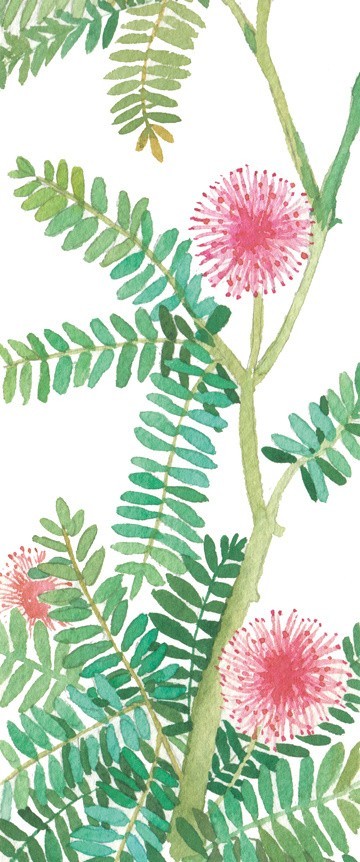 花开花落
