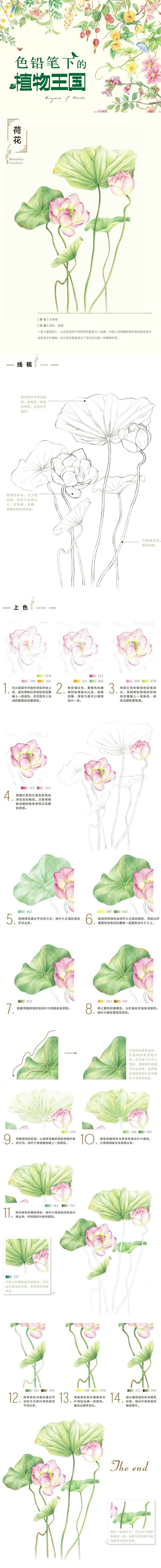 绘画教程 色铅笔下的植物王国彩铅手绘教程 色铅笔治愈系小清新森系 堆糖 美图壁纸兴趣社区 绘画教程 色铅笔下的植物王国彩铅手绘教程 色铅笔治愈系小清新森系 堆糖 美图壁纸兴趣社区