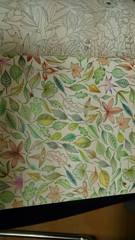 秘密花园~叶子 - 堆糖,美图壁纸兴趣社区