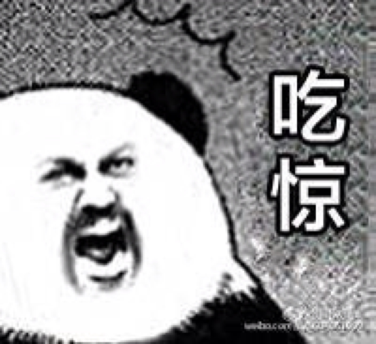 金馆长逗比表情包