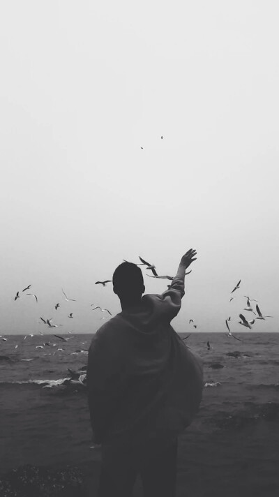 欧美风壁纸 黑白灰