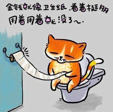 猫的人生哲理