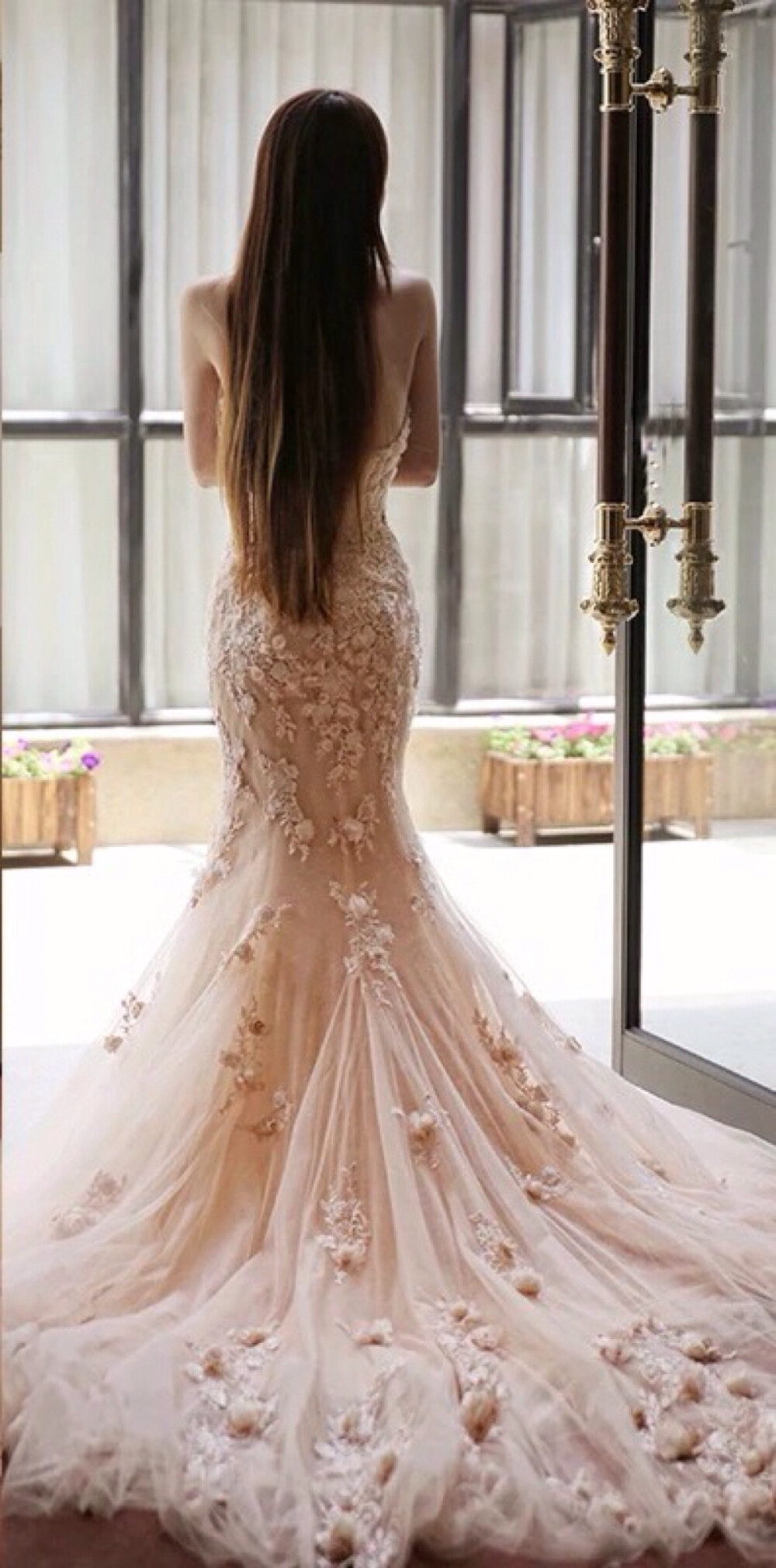 唯美婚纱 大气 性感 露出美美的背部,需要的不仅是身材要好,背部的