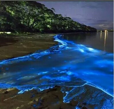 蓝色星海