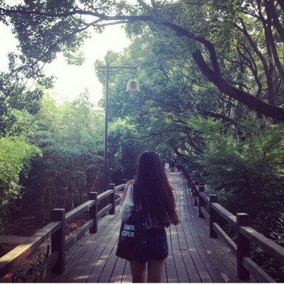 女生.头像.背影.伤感.孤独.清新.森系.树木.绿色.木桥.