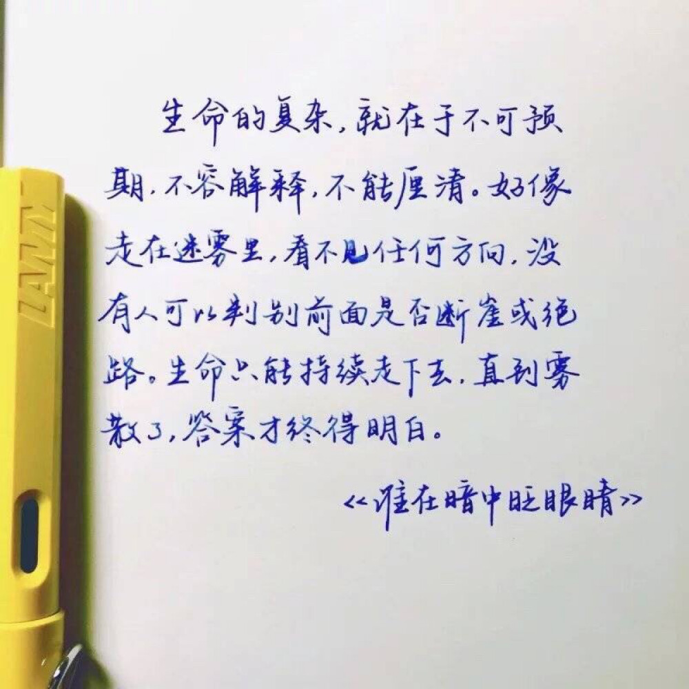 发现一个人的字太好看