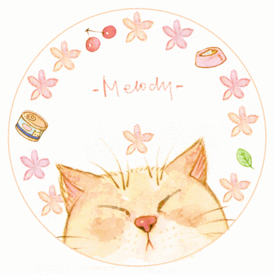 小动物