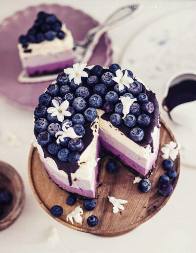 彩铅蓝莓蛋糕