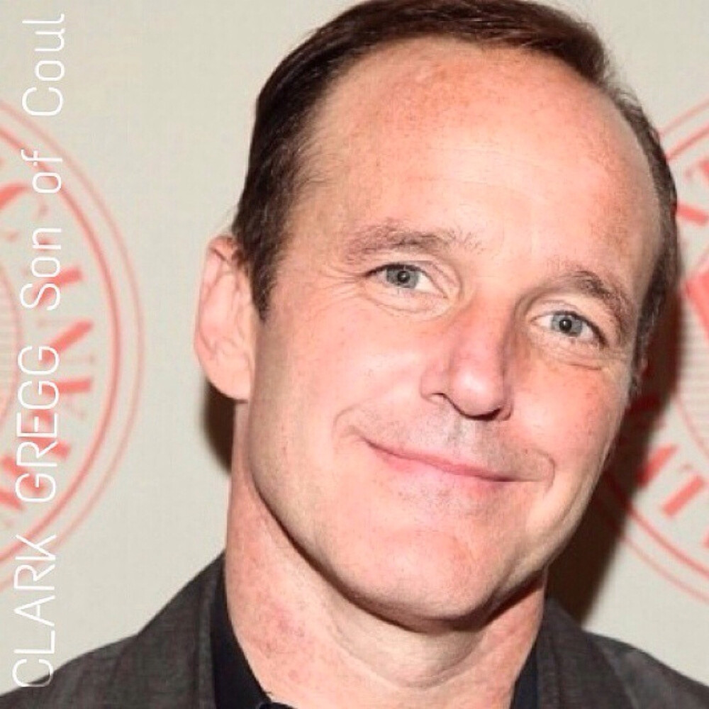 神盾局/clark gregg/phil coulson/寇森