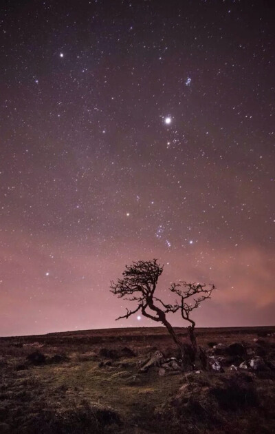 唯美星空 夜空 星光 夜景 自然风景 iphone手机壁纸 唯美壁纸 锁屏