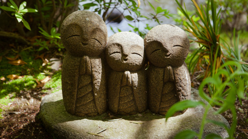 日本的寺庙常常会有成行的石头小佛像--地藏菩萨【jizo】.