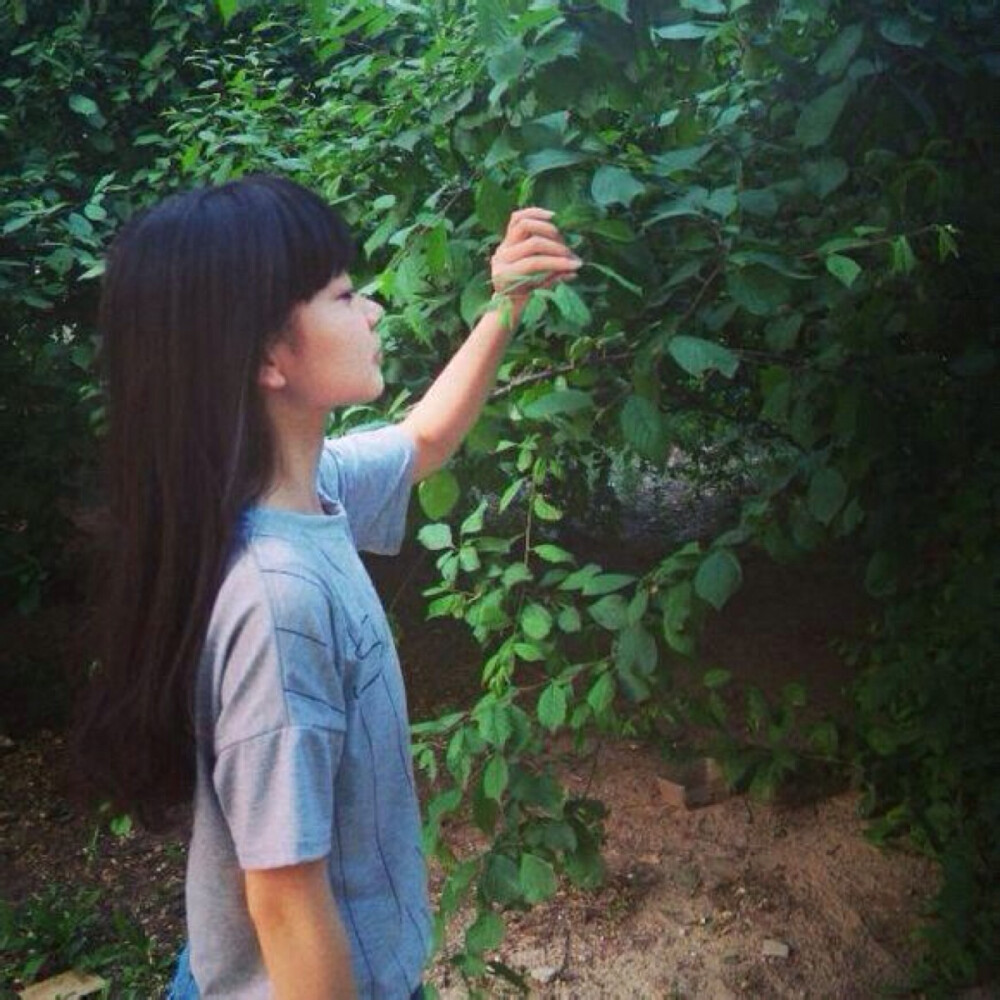 女生头像 唯美 意境 清新 森系【愿漂泊的人都有酒喝.