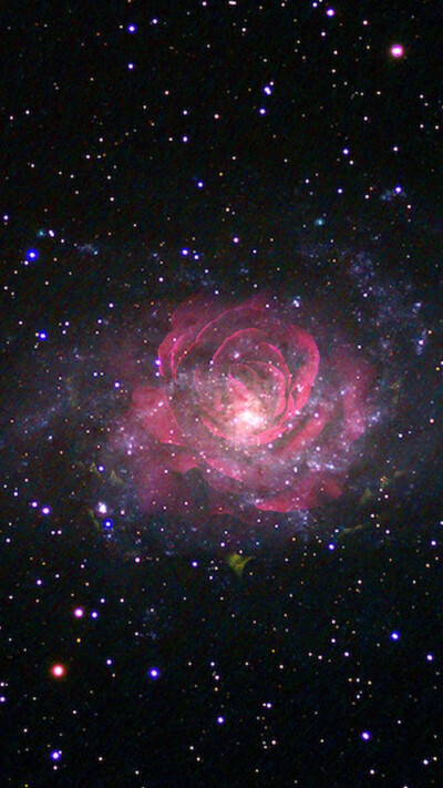 原宿星空玫瑰壁纸 简约深邃与屿