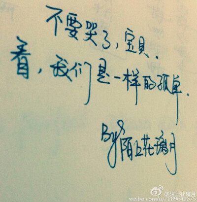 感慨青春的句子