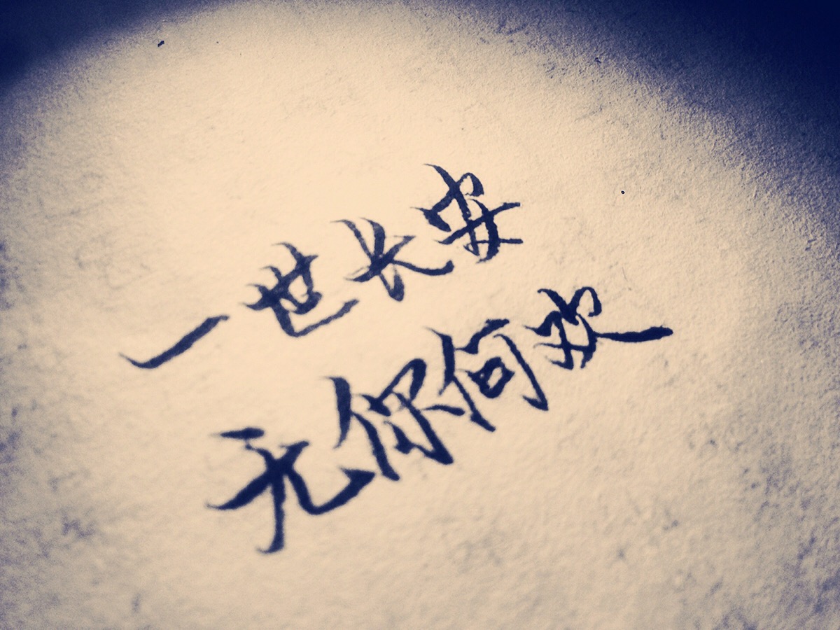 一世长安,无你何欢.潇潇手写.文字