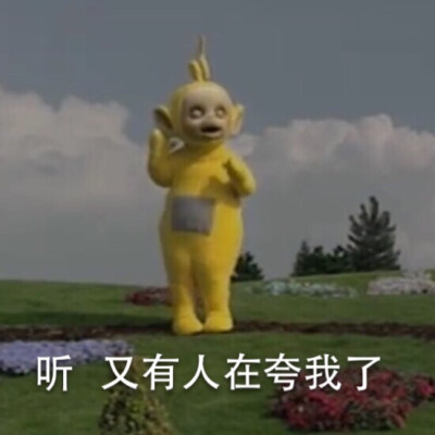 天线宝宝表情包