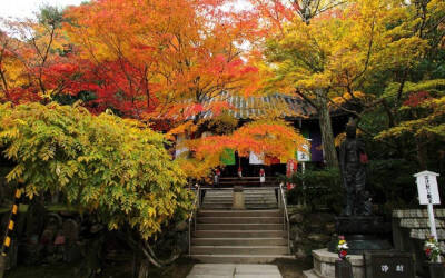 风景|日本寺庙