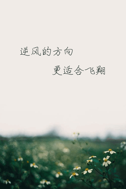 逆风的方向,更适合飞翔#文字#句子# by:汛鹿