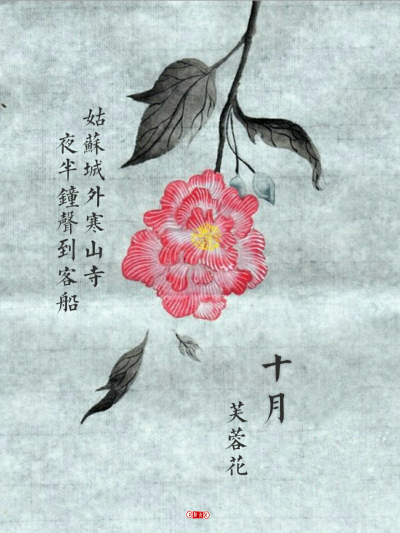 点青原创#手绘插画##十二月诗句##壁纸##芙蓉花