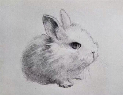 兔子男孩铅笔画