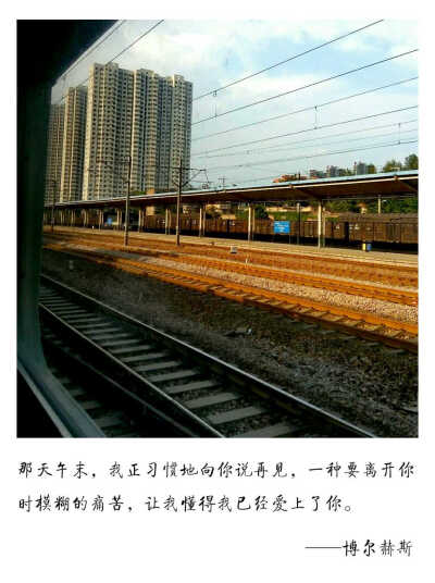 再见不见