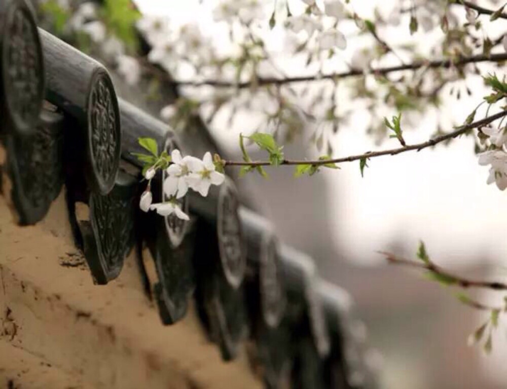 最美的不是下雨天,是与你躲过的屋檐