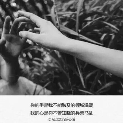 手不是我能触及的倾城温暖,我的心是你不曾知晓的兵荒马乱】伤感文字