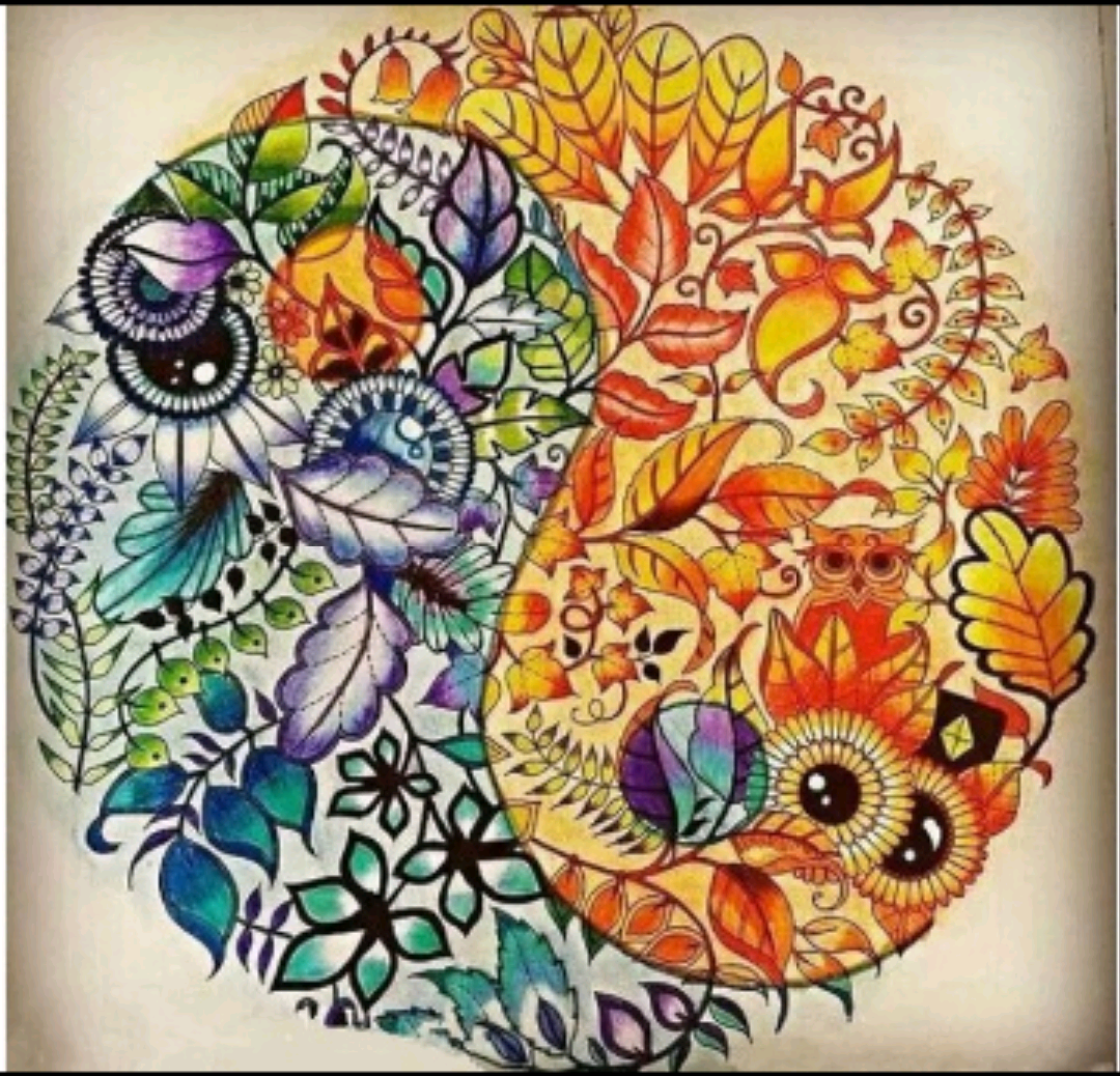秘密花园大神级的作品(不是我画的)