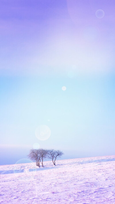 星空物语#花花草草#碧海蓝天 风景文字插画锁屏高清手机壁纸