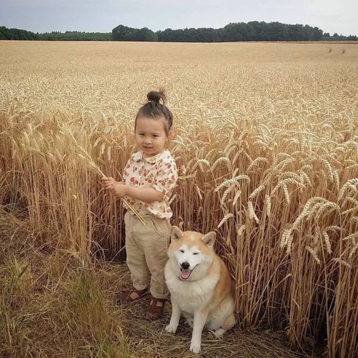 日本妈妈每天给狗狗和孩子拍照，这画风…也太可爱了吧！_Mocha