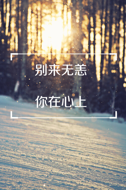 淡然.壁纸.阳光