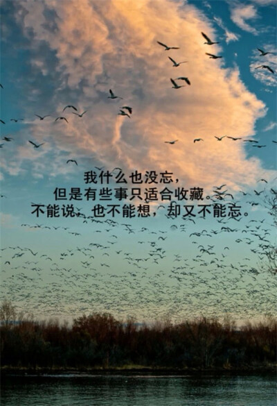 文字控 - 堆糖,美图壁纸兴趣社区