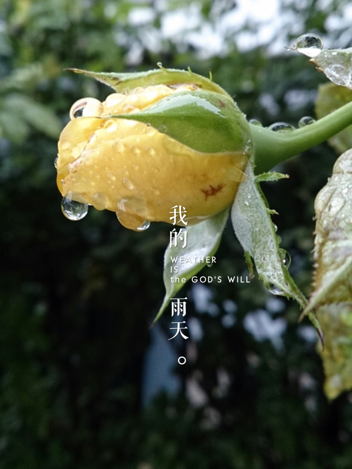 下雨天.