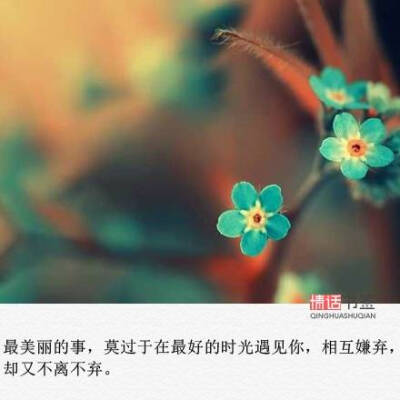 抖音文字控图片