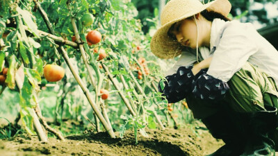 小森林 夏秋篇