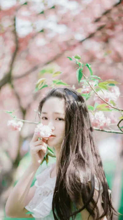默认专辑 - 堆糖,美图壁纸兴趣社区