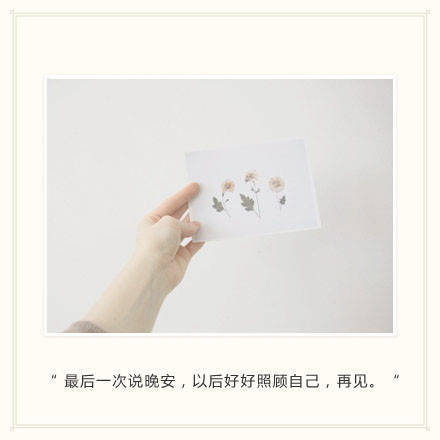 挚爱文字