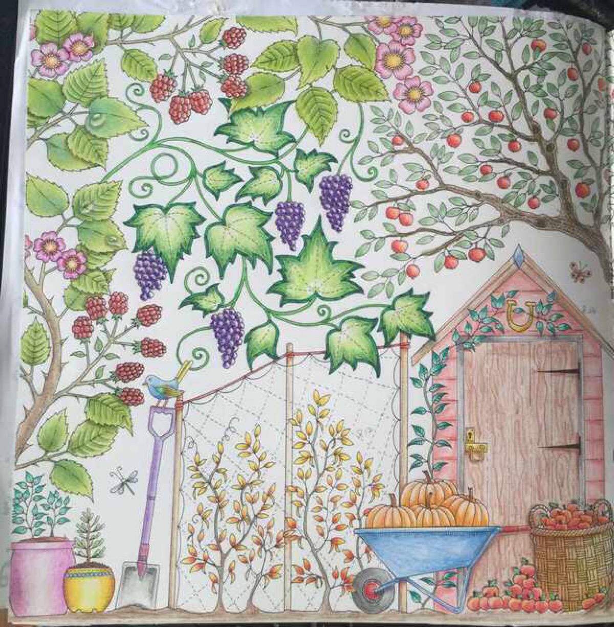 秘密花园 原作 - 高清图片，堆糖，美图壁纸兴趣社区