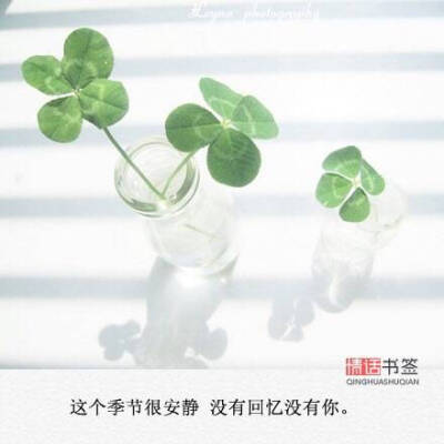 短句子 