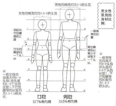 哦人体比例废的我,太需要这张图了