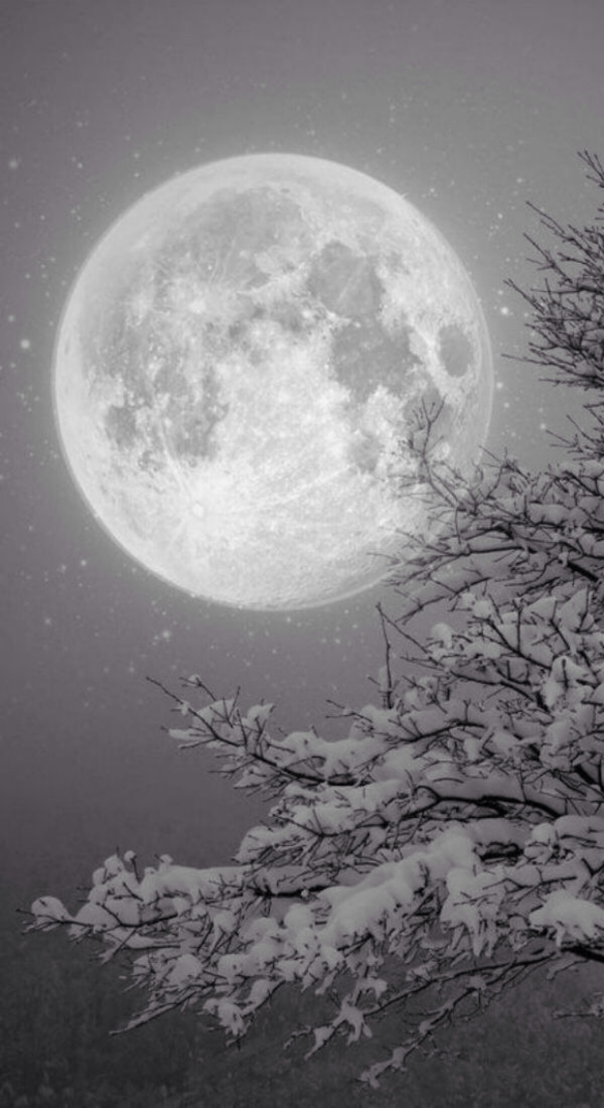 唯美夜景夜空雪景明月自然风景iphone 堆糖 美图壁纸兴趣社区