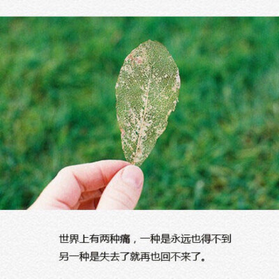 世界有两种痛,一种是永远也得不到,另一种是失去了就再也回不来了.