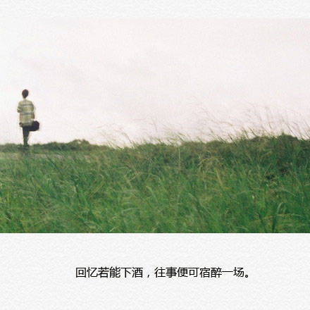 回忆若能下酒,往事便可宿醉一场.