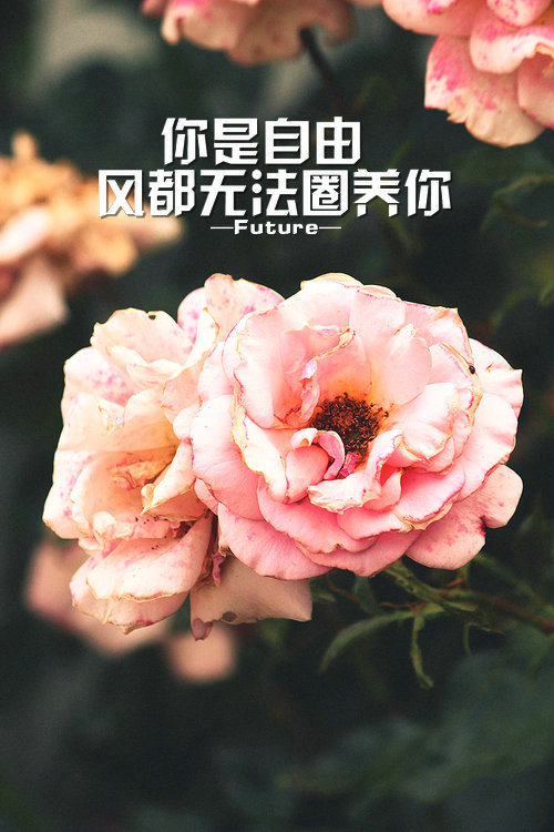 更多图片详见《future 一记深刺‖壁纸皮肤‖纯文字‖原创美图