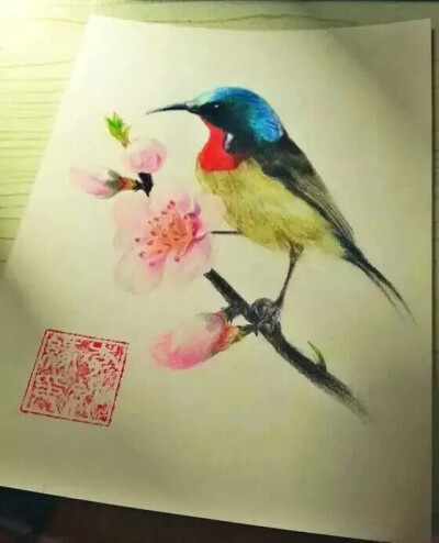 美画