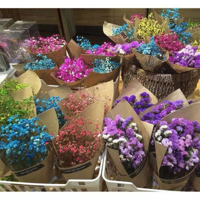 清新系:路过一家满天星花店 清新 女头 壁纸