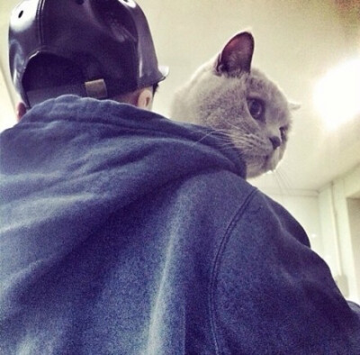 抱着猫男头