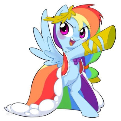 小马宝莉 我的小马驹 mlp rainbow dash